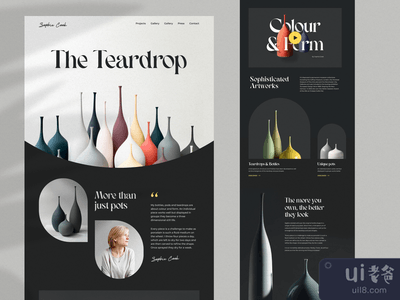 苏菲-库克(Sophie Cook)