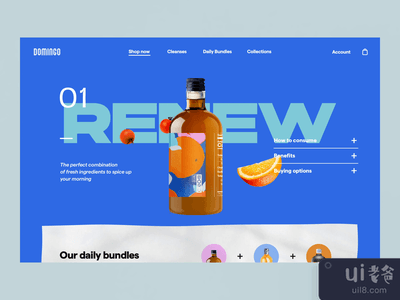 电子商务网络互动 - 多明戈(E-Commerce Web Interaction - Domingo)