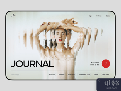 杂志网站(Journal website)