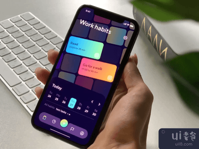 习惯养成者应用(Habit Builder Application)