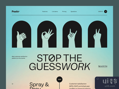 Peekr网站(Peekr Website)