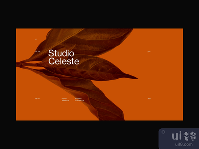 蔚蓝家园动画工作室(Studio Celeste Home Animation)