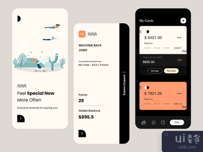 钱包用户界面(Wallet UI)