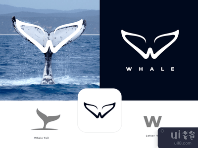 鲸鱼标志概念(Whale logo concept)