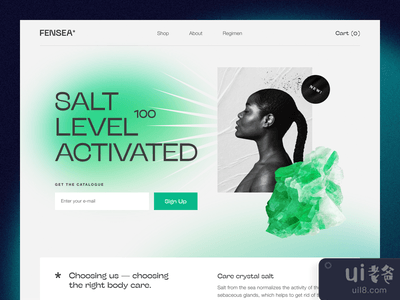 Fensea网站(Fensea Website)