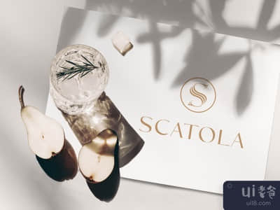 斯卡托拉标志(SCATOLA LOGO)