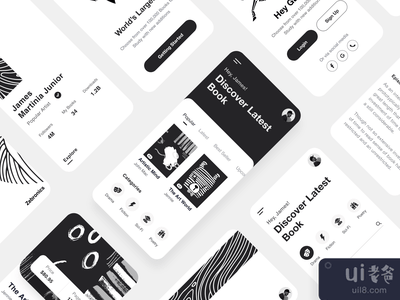 应用程序用户界面(App UI)