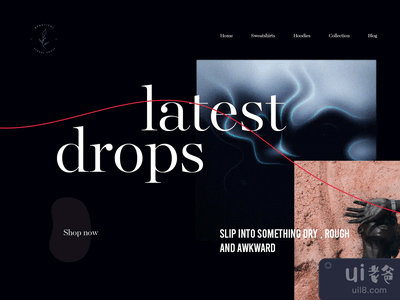 时尚网站设计(Fashion Website Design)