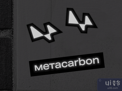 梅塔卡邦品牌建设(Metacarbon Branding)