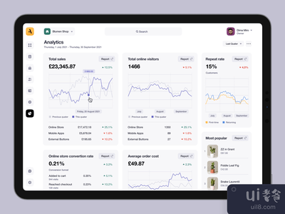 阁楼 - 分析页面(Attic - Analytics Page)