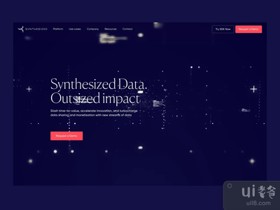 合成的网站英雄部分(Synthesized Website Hero Section)