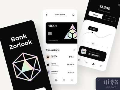 纵横捭阖-应用程序(Zorlook -App)