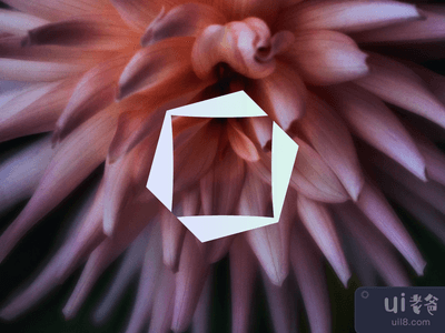 身份概念(Identity Concept)