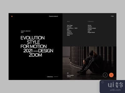 时尚设计的网站(Website for Fashion Design)