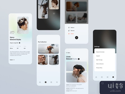 应用程序用户界面(App UI)