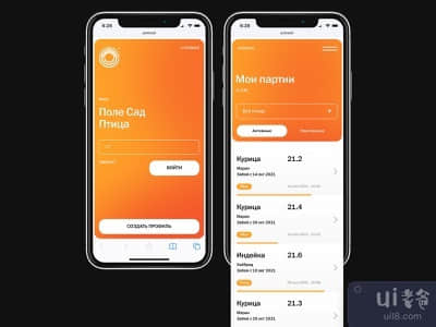 报道(Поле Сад)