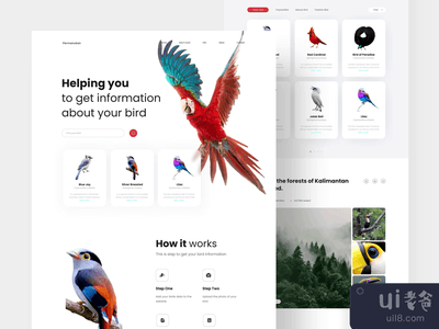 永久性的 - 宠物登陆页面的设计(Permanukan - Pets Landing Page Eksploration)