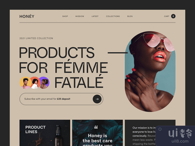 蜂蜜网站(Honey Website)