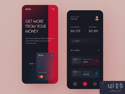 霓虹灯银行手机版(Neon Bank Mobile)