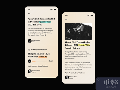 应用程序用户界面(App UI)