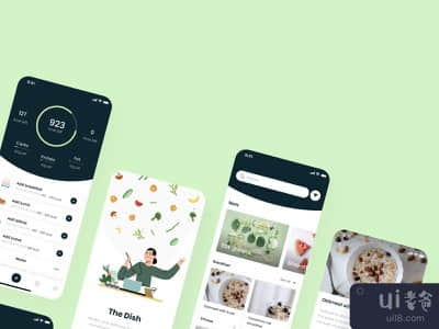碟子的移动应用设计(The Dish mobile application design)