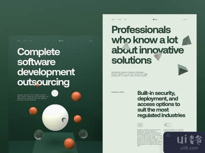 开发公司网站页面(Development Company Website Pages)