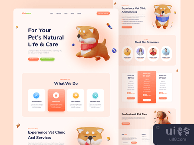 宠物护理登陆页面?(Pet Care Landing Page?)