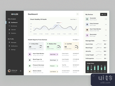 喜乐蒂仪表盘概念(Hi-lek dashboard concept)