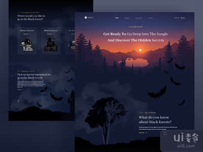 自然发现(Nature Discovery)