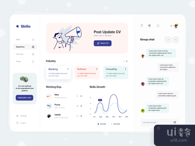 职业和经验跟踪仪表板(Skillo || Career & Experience Tracking Dashboard)