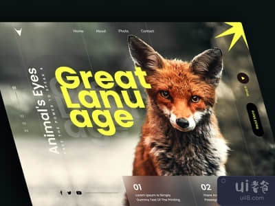 英雄头像(Hero Header)