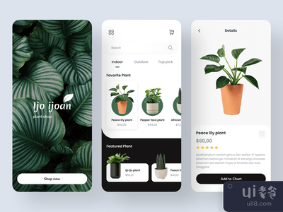 Ijo ijo - 植物商店移动应用程序(Ijo ijo - Plant Shop Mobile App)