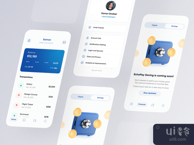 支付应用(Payment App)