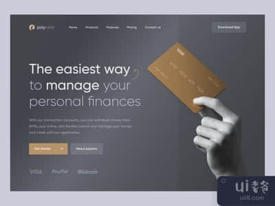 Paynino - 金融技术登陆页面(Paynino - Fintech Landing Page)