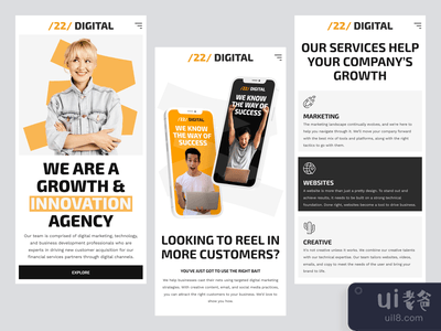 公司网站(Corporate Website)