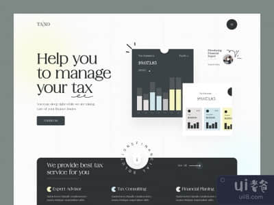 税务咨询网站设计(Tax Consulting Website Design)