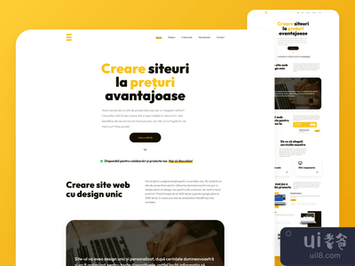 为一家网络开发公司进行UI设计(UI Design for a Web development company)