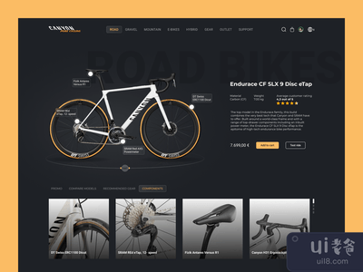 峡谷网站的概念。(Canyon website concept.)