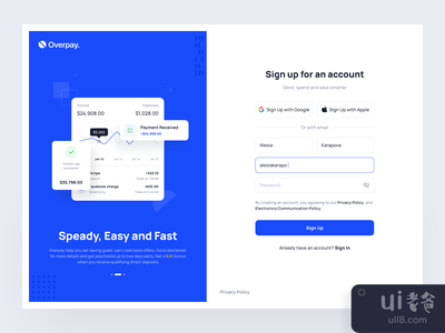 超额支付 - 财务仪表板UI套件(Overpay - Finance Dashboard UI Kit)