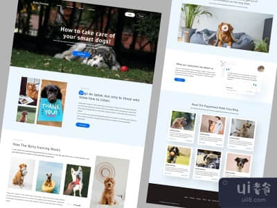 犬类训练的落脚点(Dog Training Landing)