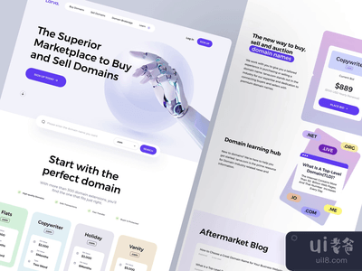 域名网站设计(Domain Name Website Design)