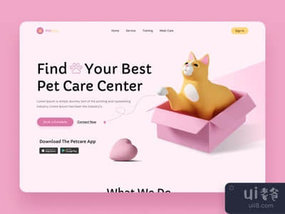宠物护理网站设计(Pet Care Website Design)