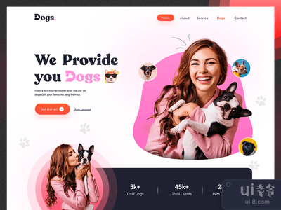 宠物领养网站/狗狗护理网站(Pet Adoption Website/ Dog Care Website)