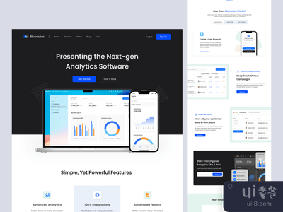SAAS网站(SAAS Website)