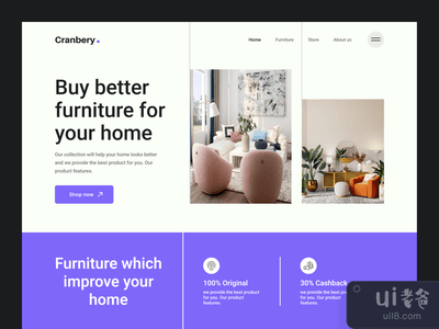网站：登陆页(web site: landing page)