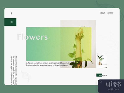 鲜花店(Flowers Store)