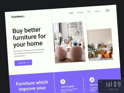 网站：登陆页(web site: landing page)