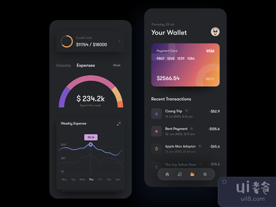 支付应用(Payment app)