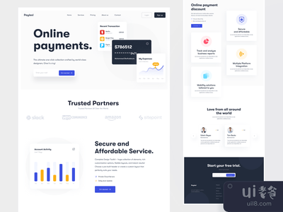 在线支付网站设计(Online Payments Website Design)