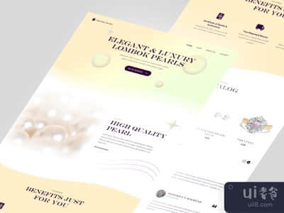 海洋之珠 - 登陆页(Pearl Ocea - Landing Page)